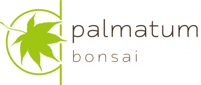 Palmatum - bonsai sklep, drzewka i donice bonsai
